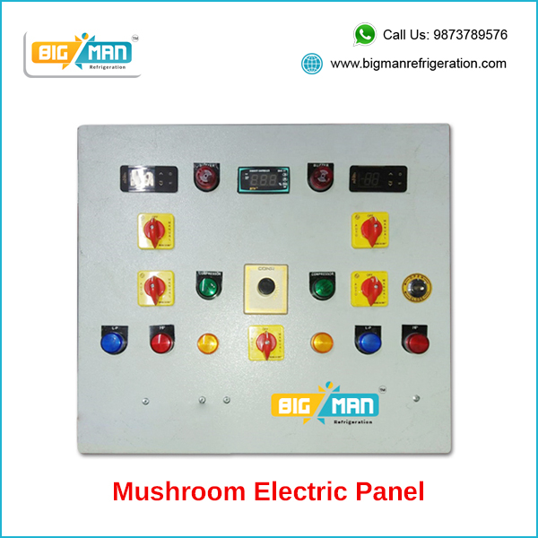Mushroom_Electric_Panel
