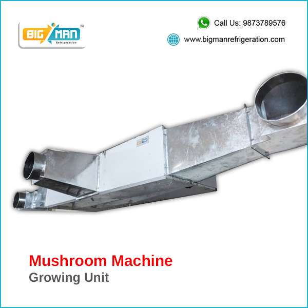 Mushroom_Growing_Unit