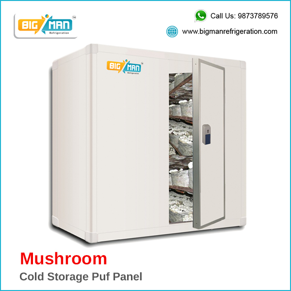 Mushroom_cold_storage